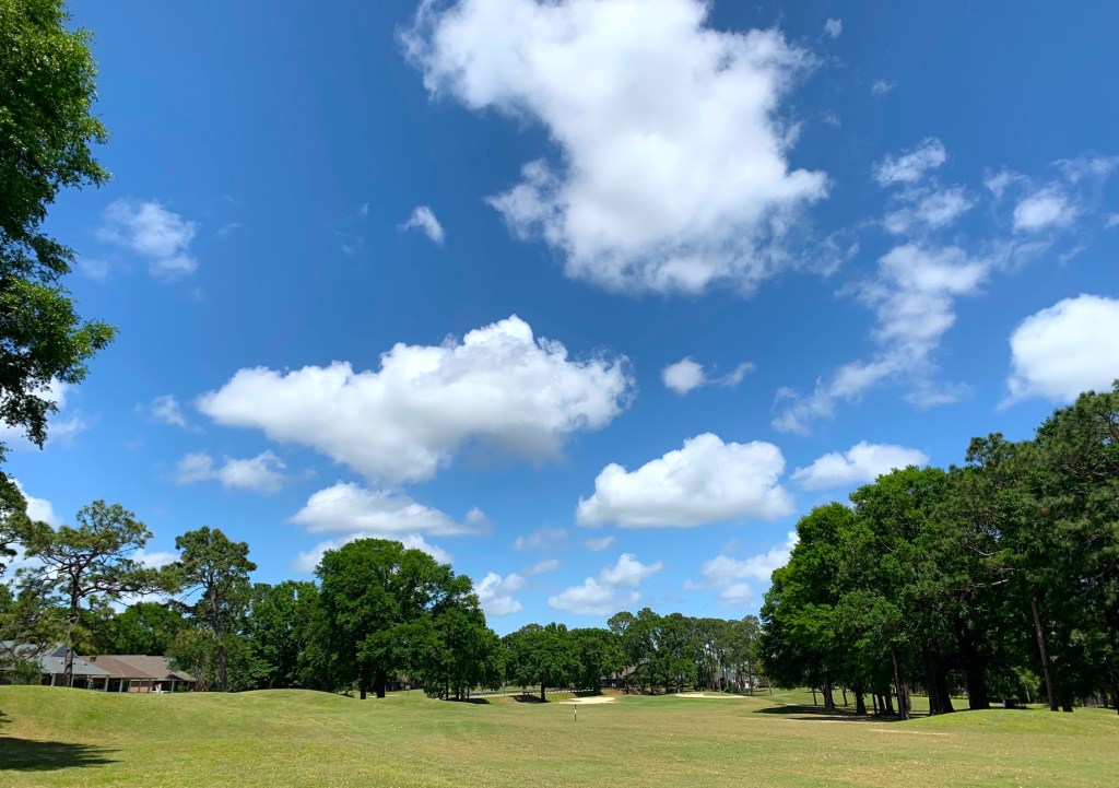 golf course green